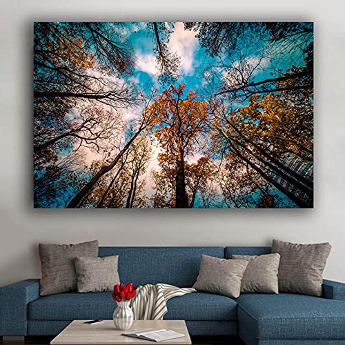 Amazon.co.jp: 写真ホームインテリア 40x60cm (フレームなし) 写真絵画